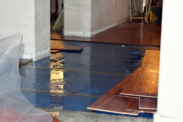Professional Basement Flood Cleanup technician working in Conway, NH